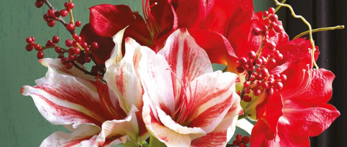 bloom.uk.com